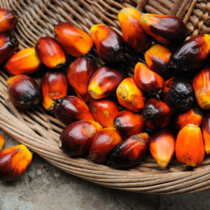 African red palm oil